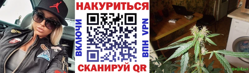 Где купить наркотики Хасавюрт Конопля Кокаин А ПВП мега зеркало Гашиш Меф мяу мяу Амфетамин