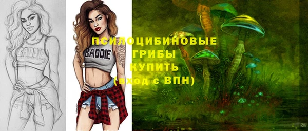 spice Лихославль